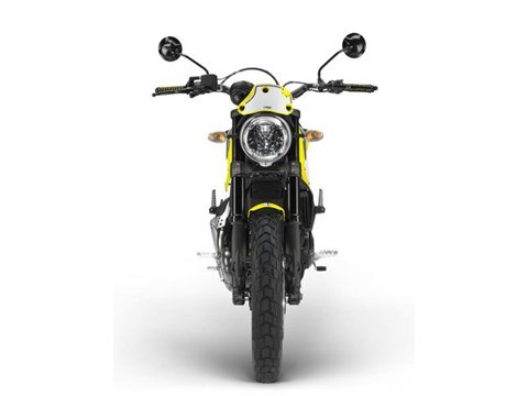 2016 Ducati Scrambler Flat Track Pro in Medford, Massachusetts