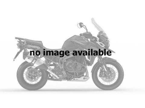 2017 Triumph Tiger Explorer XCA in Medford, Massachusetts
