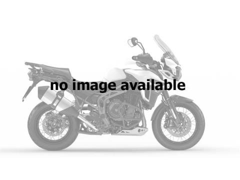 2017 Triumph Tiger Explorer XCx in Medford, Massachusetts