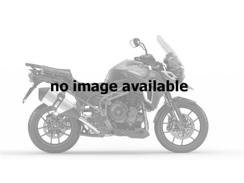 2017 Triumph Tiger Explorer XRx in Medford, Massachusetts